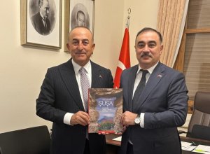 Посол Азербайджана встретился с Мевлютом Чавушоглу