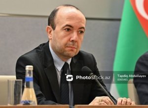 Фариз Рзаев рассказал в Страсбурге о минной опасности в Азербайджане