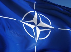 В НАТО считают, что кибератака может стать поводом для задействования 5-й статьи устава