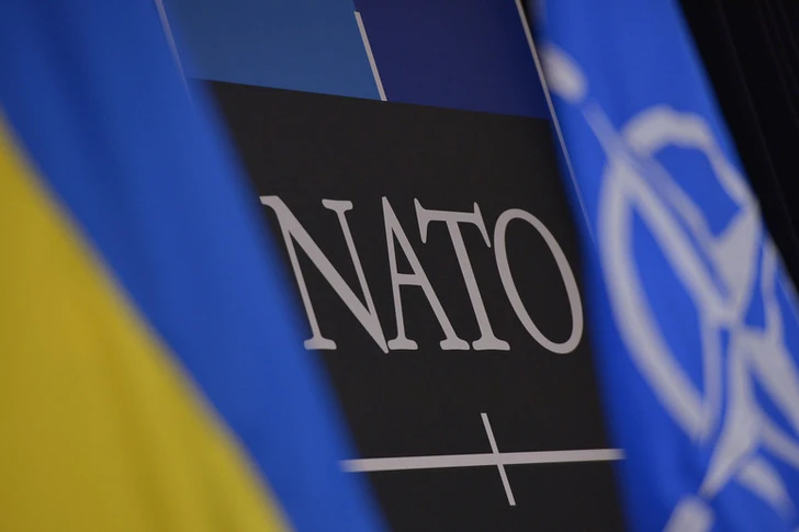 Украине предложат «конкретные пути» к членству в НАТО