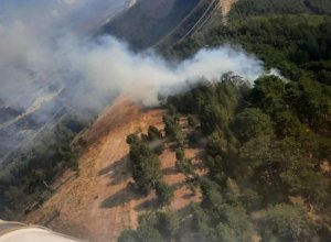 В различных районах Турции произошли лесные пожары