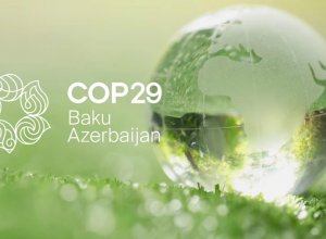 Стала известна позиция Украины на COP29 в Баку