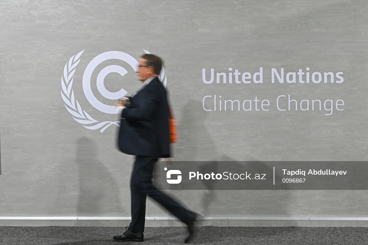 Девятый день COP29: завершились мероприятия Голубой зоны-ВИДЕО