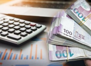 Доходы Государственного фонда охраны окружающей среды в 2024 году выросли на 6%