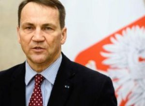 Сикорский: Инцидент с БПЛА не повод для разрыва дипотношений с Россией