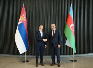 Азербайджан и Сербия обсудили возможности повышения эффективности экономического сотрудничества