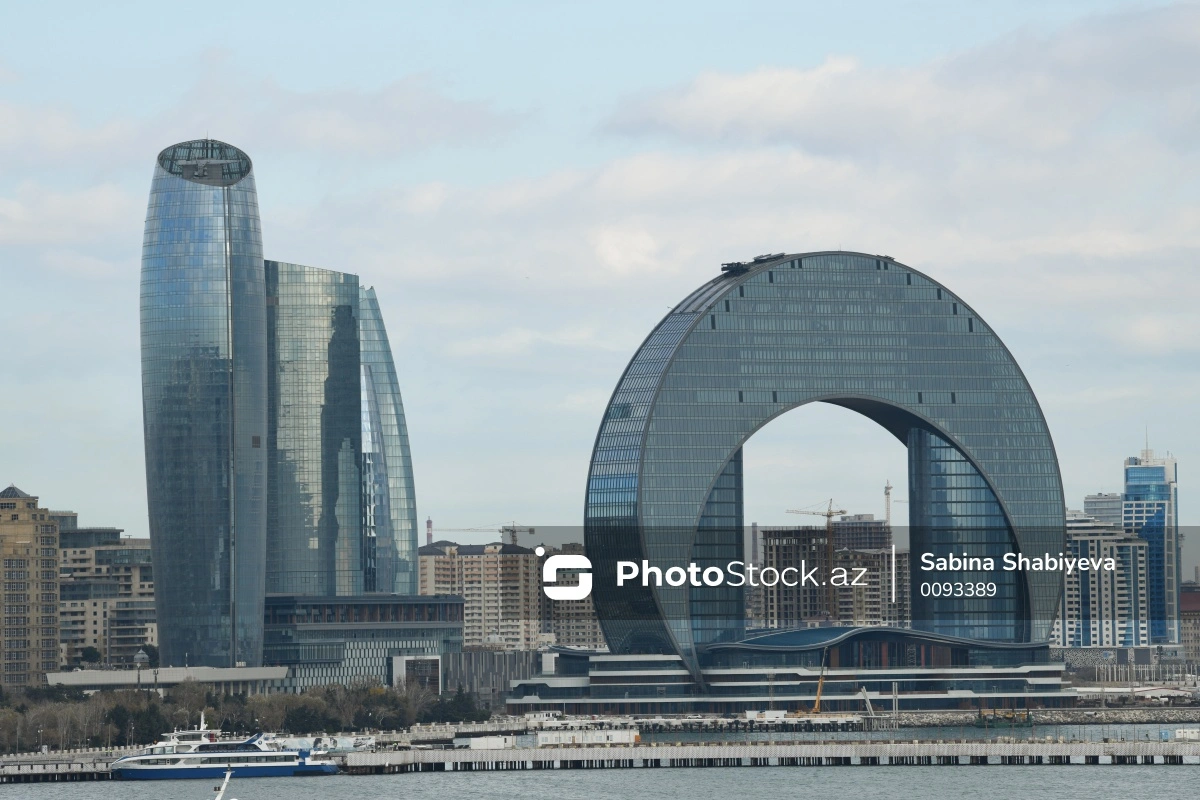 В Баку принят итоговый документ международной конференции по проблеме пропавших без вести лиц