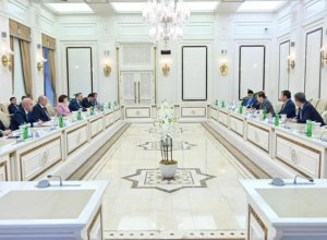 Гафарова приняла делегацию ICAPP