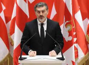 Президент Грузии утвердил закон об ужесточении правил проведения митингов