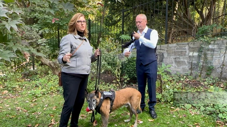 Институт наследия Маршалла США вручит награду сотруднику ANAMA и собаке-саперу-ФОТО