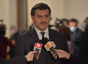 Кавелашвили поддержал запрет некоторых оппозиционных партий