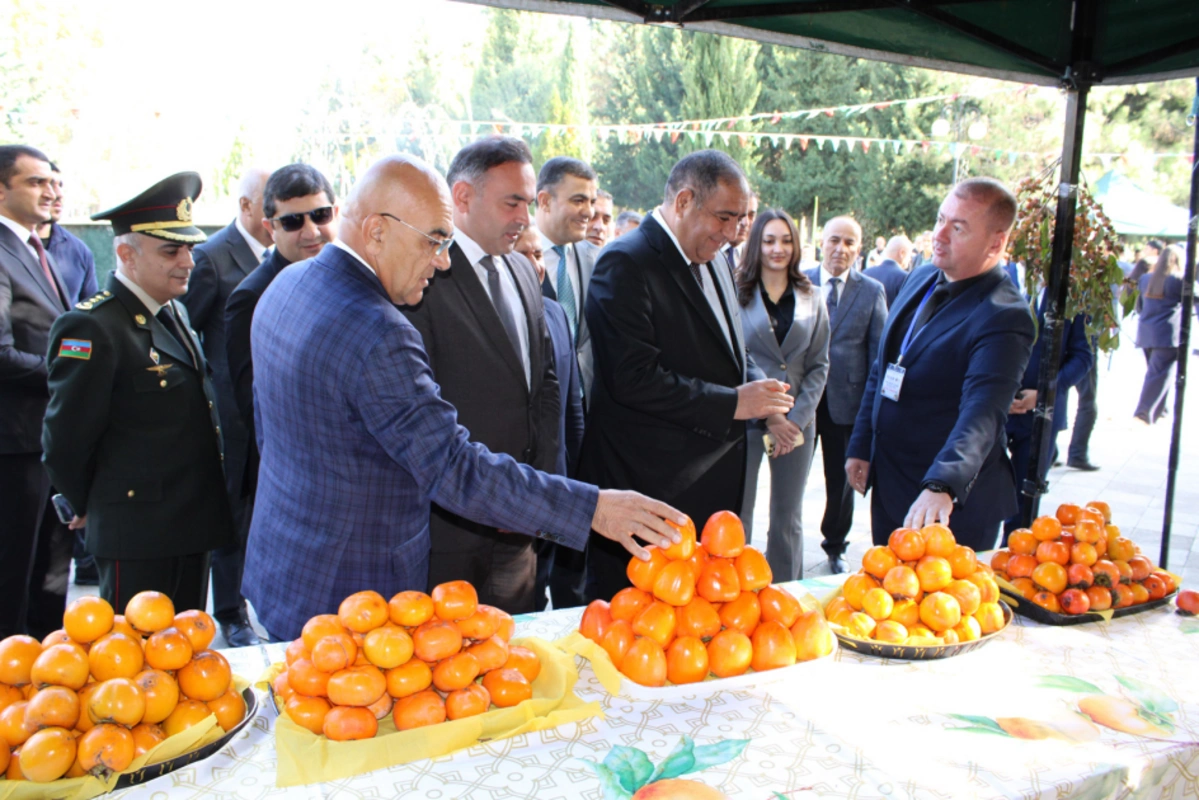 Последние кадры задержанного СГБ главы ИВ Балакенского района