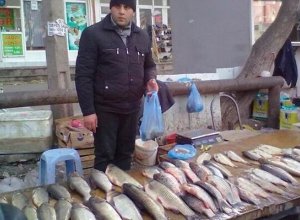 Центр рыболовства: В Азербайджане нет дефицита рыбы на рынках