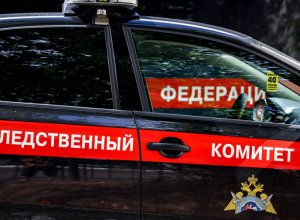 Мужчина убил топором пожилую пару на Камчатке