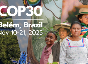 “Belendə keçiriləcək COP30 bəşəriyyət üçün son  xəbərdarlıq olacaq”