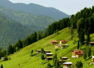 İstirahət günlərində hansı rayonlara getmək daha sərfəlidir?