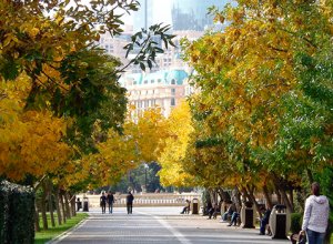 Завтра в Азербайджане ожидается благоприятная погода для метеочувствительных людей