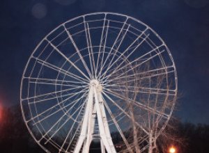 В Японии 20 человек на девять часов застряли на колесе обозрения