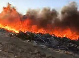 Пожар на дороге 