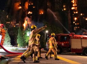 SCMP: Более 90 домашних питомцев спасли в Гонконге на месте мощного пожара