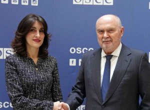 Глава МИД Грузии и генсек ОБСЕ обсудили региональную безопасность