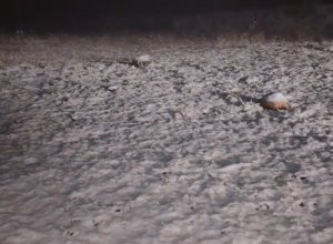 Снегопад в Лачинском районе