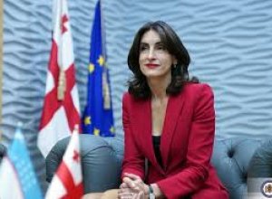 Глава МИД Грузии: Азербайджан является важным партнером для нас