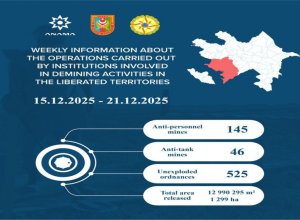 На освобожденных территориях Азербайджана обнаружена 191 мина, 525 боеприпасов