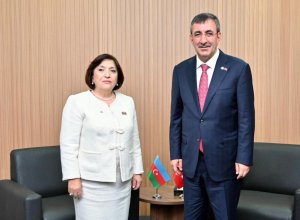 Джевдет Йылмаз и Сахиба Гафарова обсудили межпарламентское сотрудничество