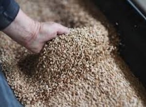 Армения еще на полгода продлит ограничение на вывоз зерновых