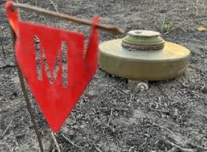 Литва вышла из Оттавской конвенции о запрете противопехотных мин