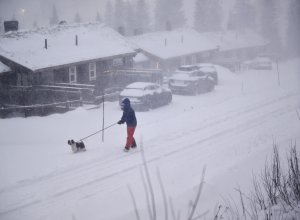 В Швеции три человека погибли из-за снежной бури