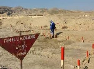 ANAMA: На минувшей неделе от мин очищена территория площадью более 900 га