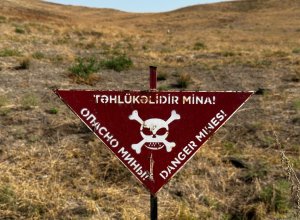В Азербайджане создается правовая основа для использования животных при разминировании