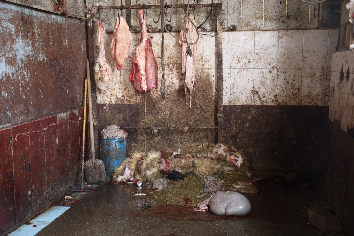 Антисанитария на рынке в посёлке Маштага