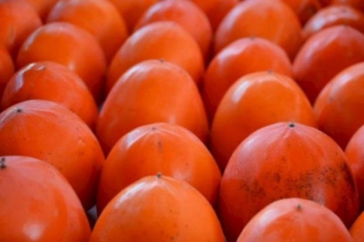 Азербайджан возобновил поставки хурмы в Латвию