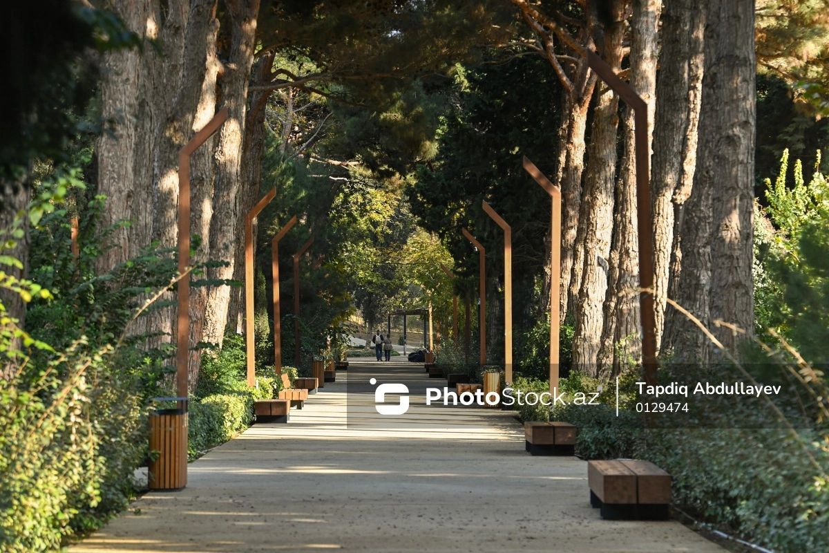 В Баку будет создан многофункциональный парк