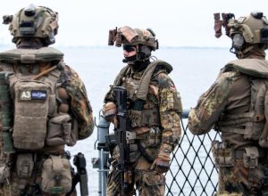 Bild: ФРГ на текущей неделе направит своих военнослужащих в Гренландию