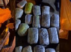 Сотрудники МВД Азербайджана в ходе операции изъяли 46 кг марихуаны