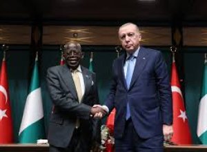 Лидеры Турции и Нигерии обсудили вопросы безопасности в Африке