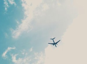 Алжир приступил к отмене соглашения об авиасообщении с ОАЭ