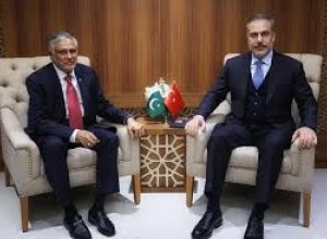 Главы МИД Турции и Пакистана обсудили региональные вопросы