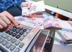 Среднемесячная заработная плата в Азербайджане составила около 1103 манатов