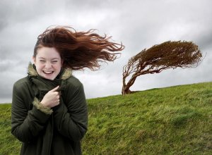 Синоптики сделали предупреждение в связи с ветреной погодой