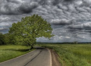 Пасмурно и морось