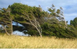 В Азербайджане усилится ветер