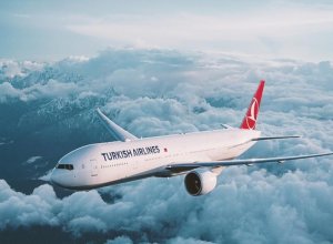 Министр Турции: Два самолёта, принадлежащие THY и Pegasus, находятся в режиме ожидания в Иране