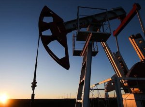 Цены на нефть возобновили рост