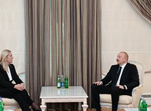 Ильхам Алиев встретился с членом Президиума Боснии и Герцеговины-ФОТО