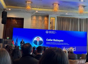 В Азербайджане создадут единый портал и реестр для защиты персональных данных